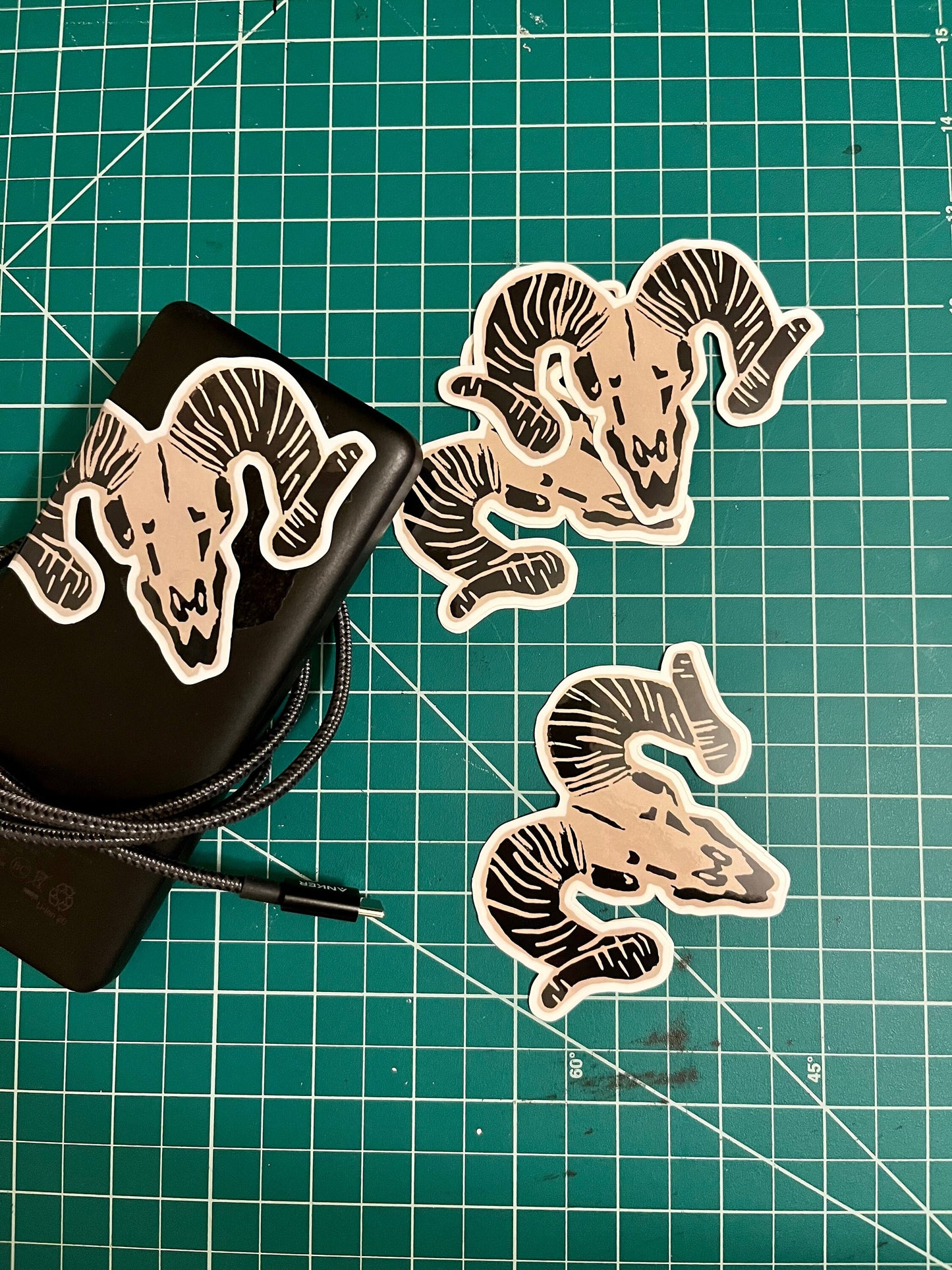 Bighorn Sheep Skull Vinyl Sticker // 4x3"